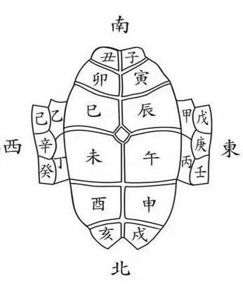 小森生活秘籍：龟壳的获取方法与实用应用