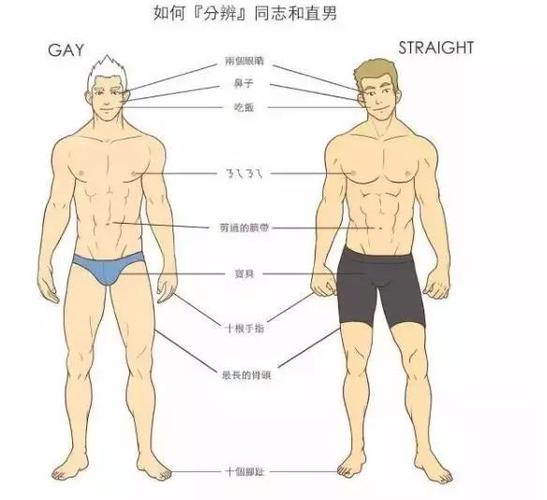 男男 Gay 巨大粗 xX 小受——提升性能的绝佳选择