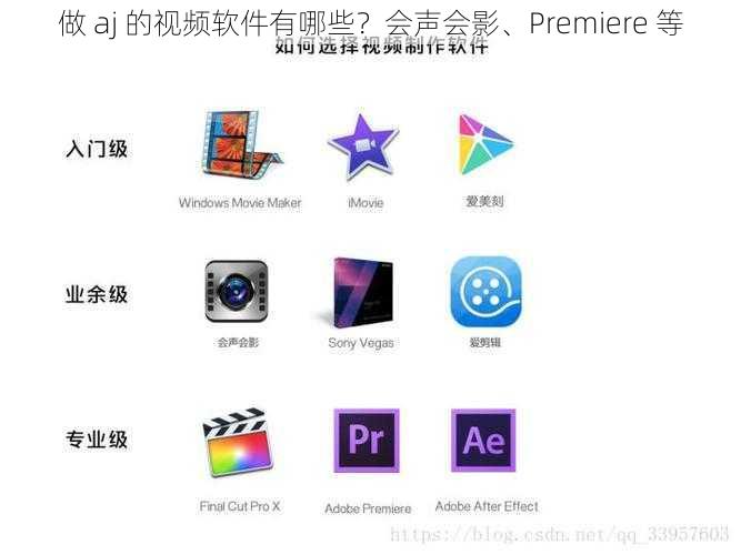 做 aj 的视频软件有哪些？会声会影、Premiere 等