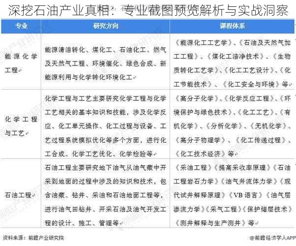 深挖石油产业真相：专业截图预览解析与实战洞察