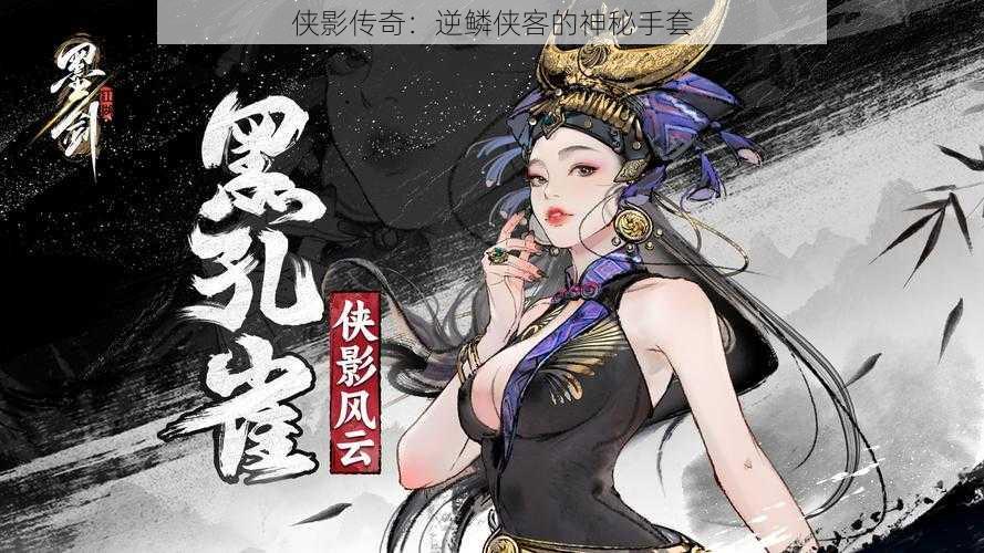 侠影传奇：逆鳞侠客的神秘手套