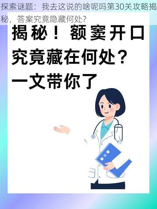 探索谜题：我去这说的啥呢吗第30关攻略揭秘，答案究竟隐藏何处？