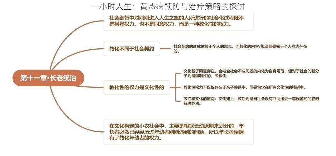 一小时人生：黄热病预防与治疗策略的探讨