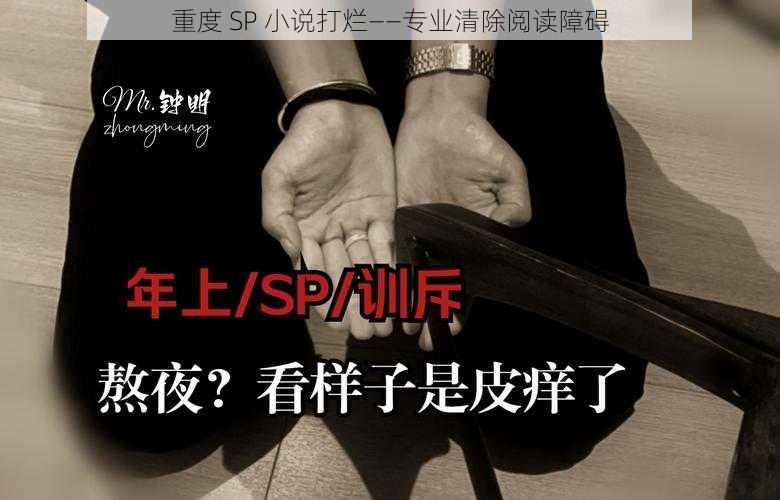 重度 SP 小说打烂——专业清除阅读障碍