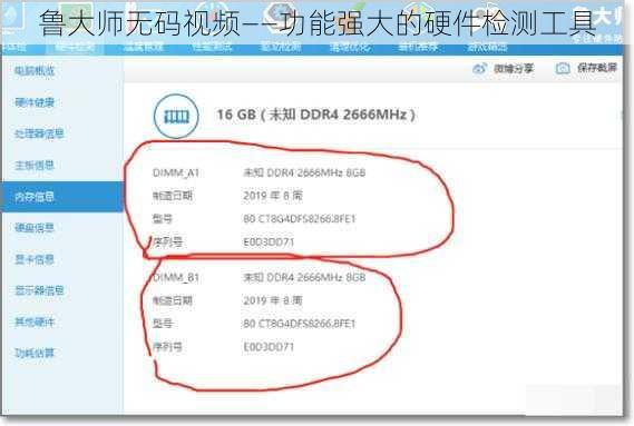 鲁大师无码视频——功能强大的硬件检测工具
