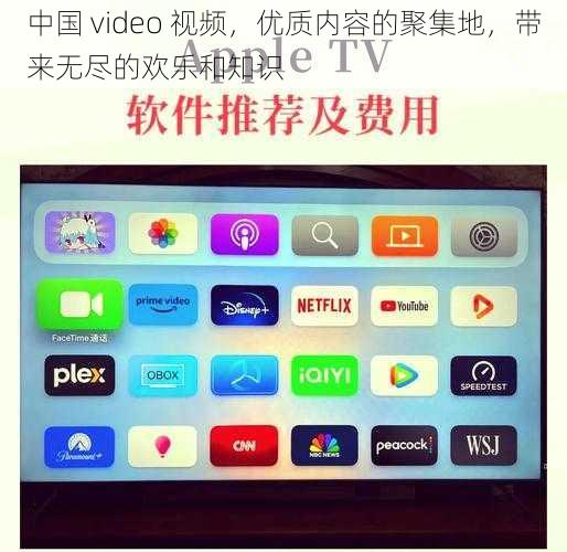 中国 video 视频，优质内容的聚集地，带来无尽的欢乐和知识