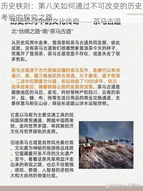 历史铁则：第八关如何通过不可改变的历史考验的探究之路