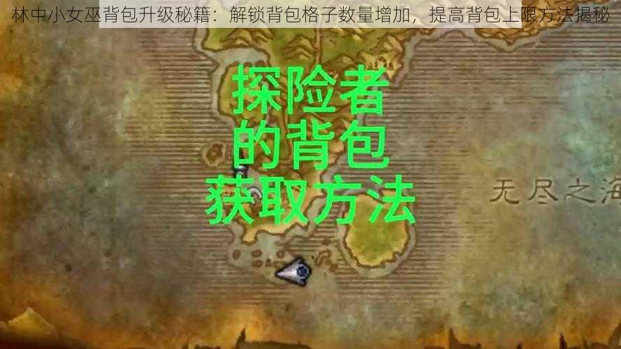 林中小女巫背包升级秘籍：解锁背包格子数量增加，提高背包上限方法揭秘