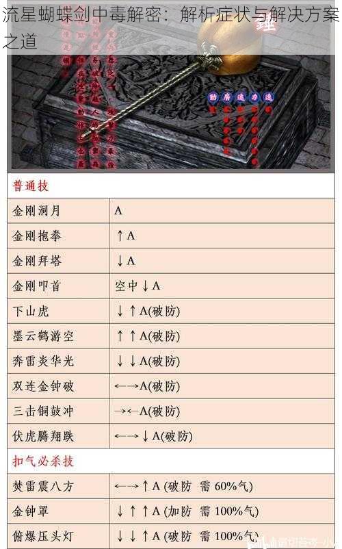 流星蝴蝶剑中毒解密：解析症状与解决方案之道