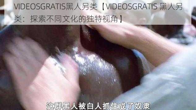 VIDEOSGRATIS黑人另类【VIDEOSGRATIS 黑人另类：探索不同文化的独特视角】