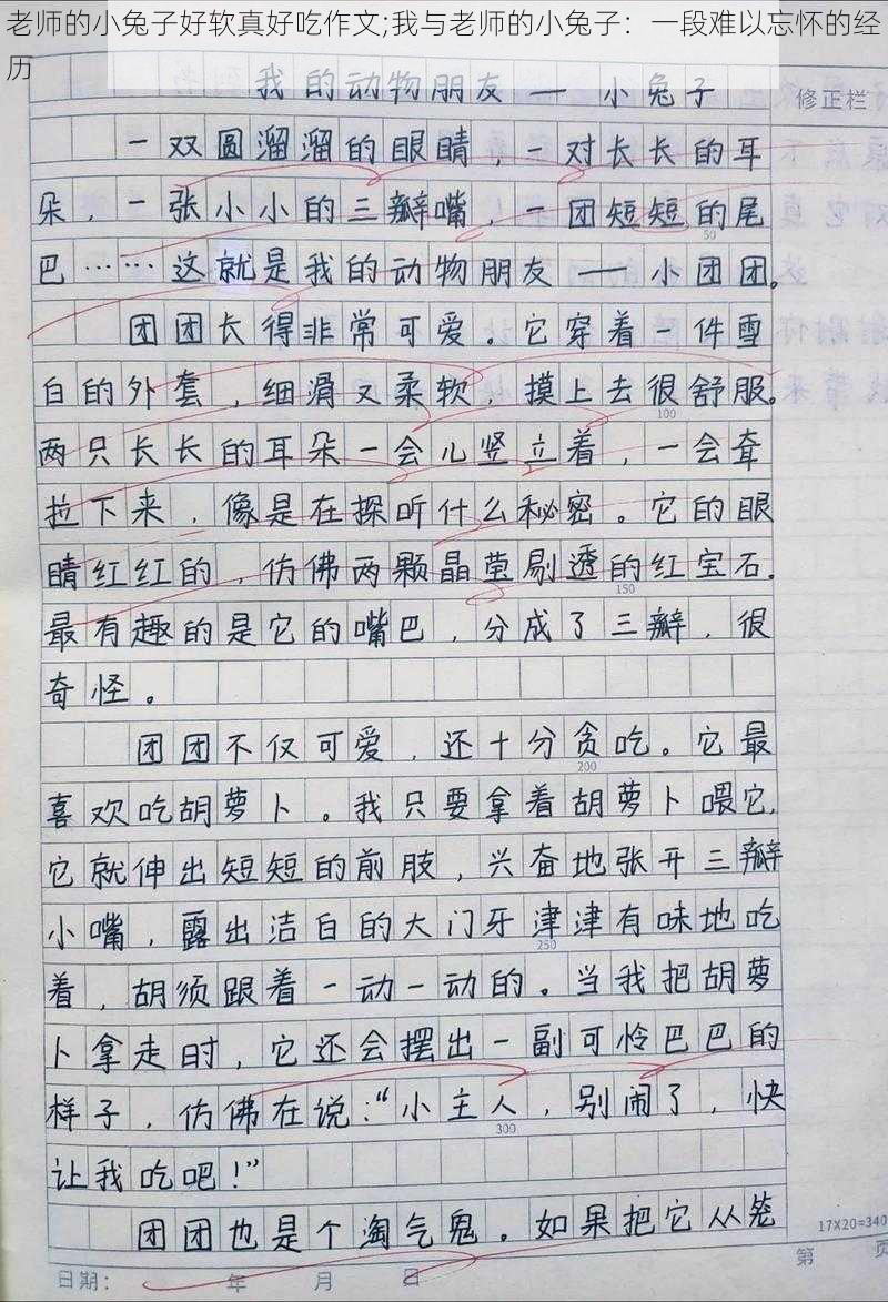 老师的小兔子好软真好吃作文;我与老师的小兔子：一段难以忘怀的经历