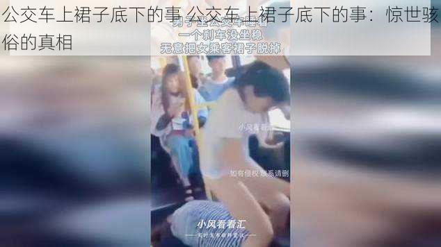 公交车上裙子底下的事 公交车上裙子底下的事：惊世骇俗的真相