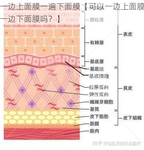 一边上面膜一遍下面膜【可以一边上面膜一边下面膜吗？】