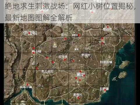 绝地求生刺激战场：网红小树位置揭秘，最新地图图解全解析