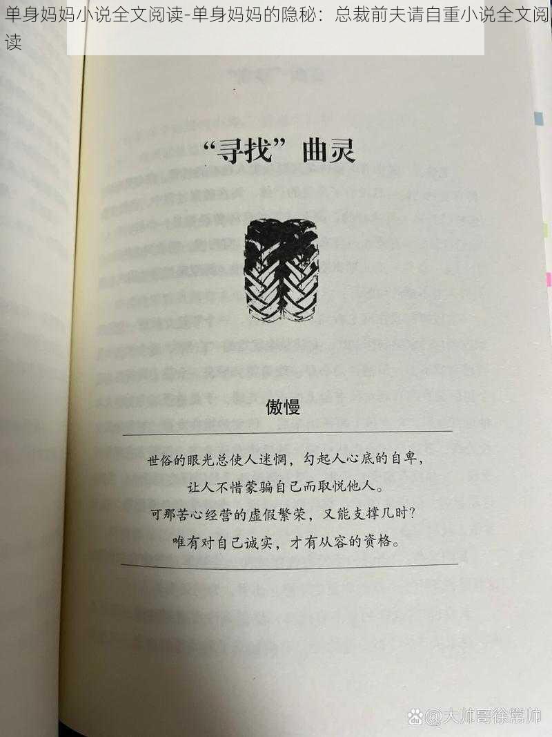 单身妈妈小说全文阅读-单身妈妈的隐秘：总裁前夫请自重小说全文阅读