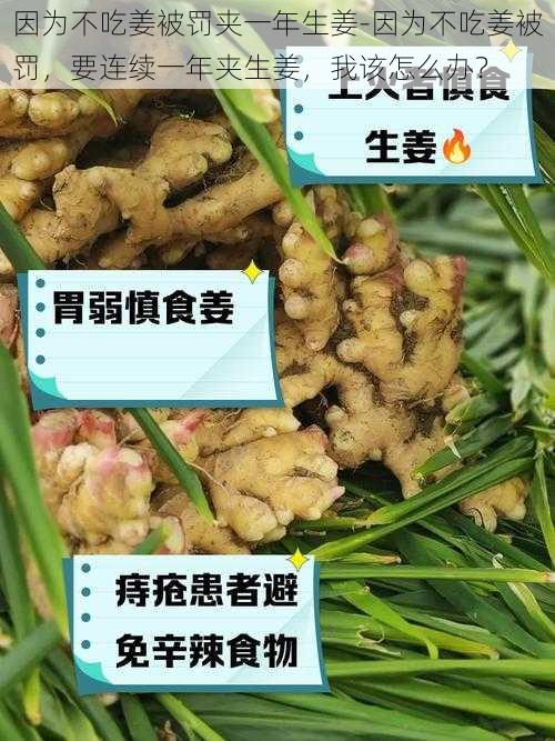 因为不吃姜被罚夹一年生姜-因为不吃姜被罚，要连续一年夹生姜，我该怎么办？