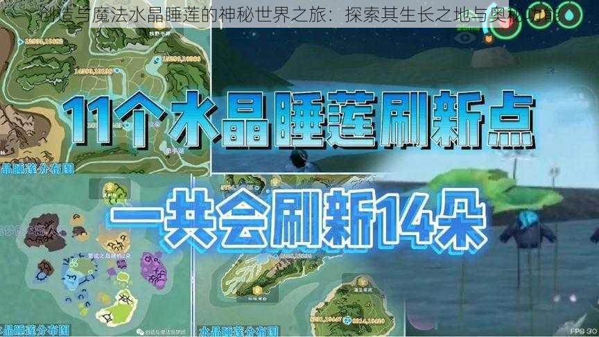 创造与魔法水晶睡莲的神秘世界之旅：探索其生长之地与奥秘功能