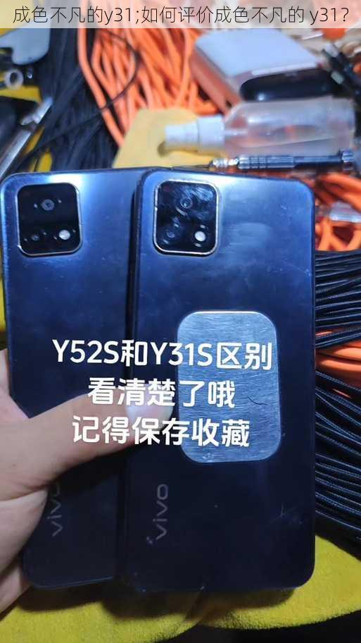 成色不凡的y31;如何评价成色不凡的 y31？