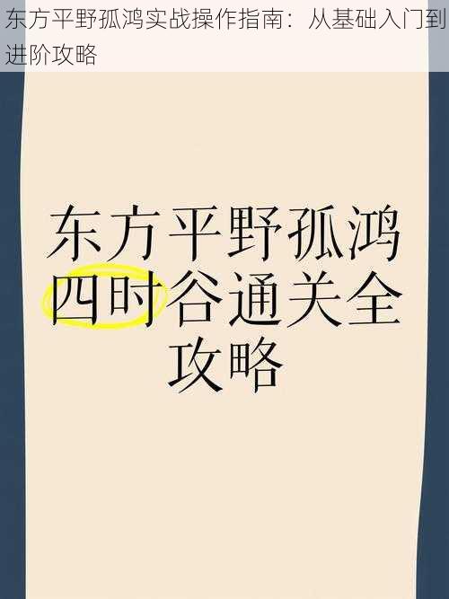 东方平野孤鸿实战操作指南：从基础入门到进阶攻略