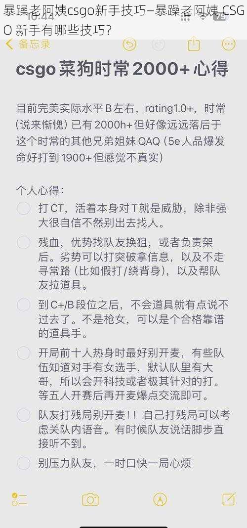 暴躁老阿姨csgo新手技巧—暴躁老阿姨 CSGO 新手有哪些技巧？