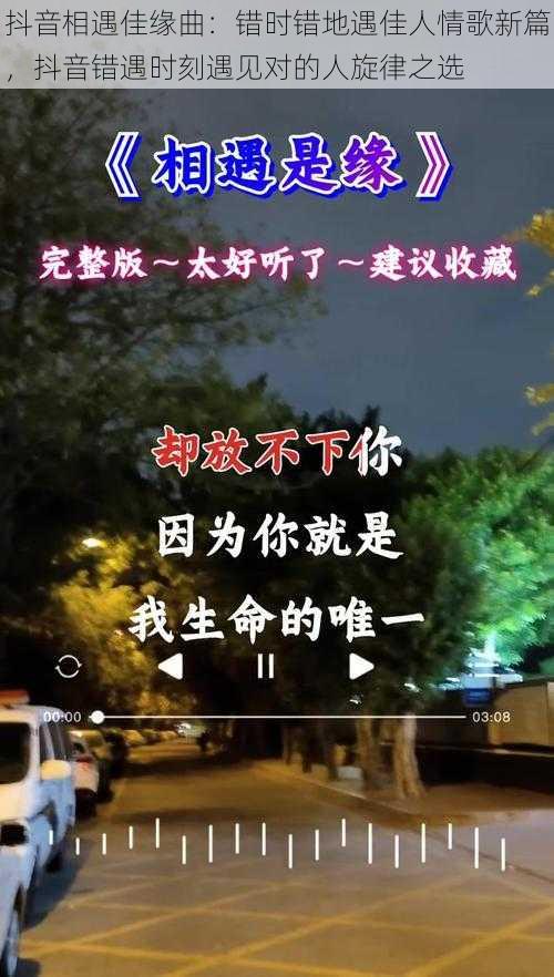 抖音相遇佳缘曲：错时错地遇佳人情歌新篇，抖音错遇时刻遇见对的人旋律之选