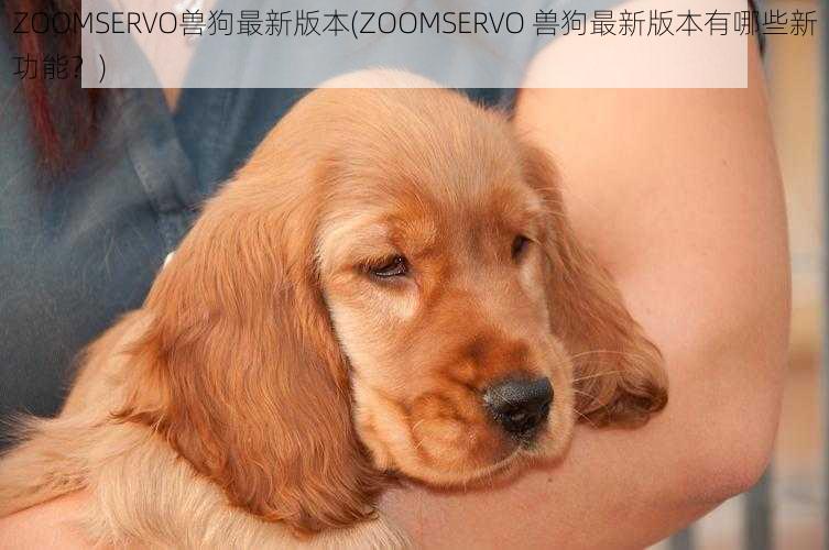 ZOOMSERVO兽狗最新版本(ZOOMSERVO 兽狗最新版本有哪些新功能？)