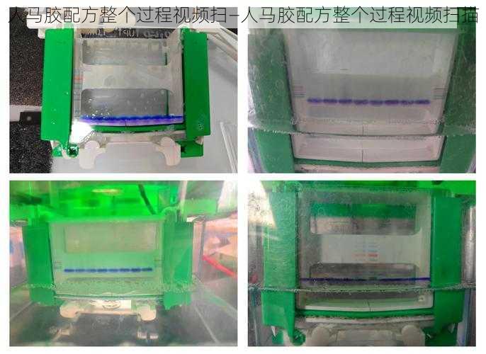 人马胶配方整个过程视频扫—人马胶配方整个过程视频扫描