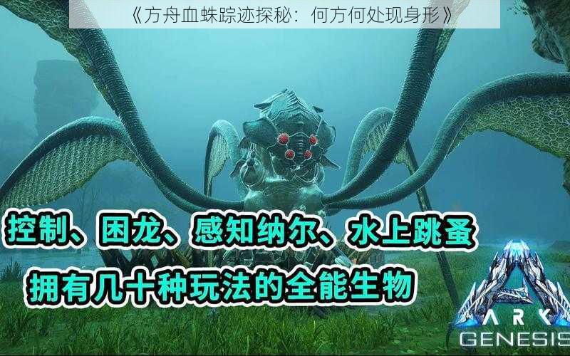 《方舟血蛛踪迹探秘：何方何处现身形》