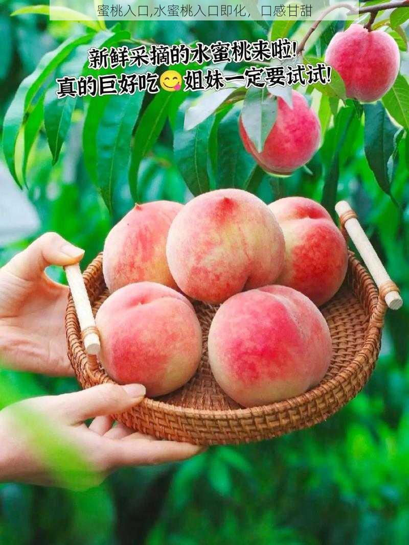 蜜桃入口,水蜜桃入口即化，口感甘甜