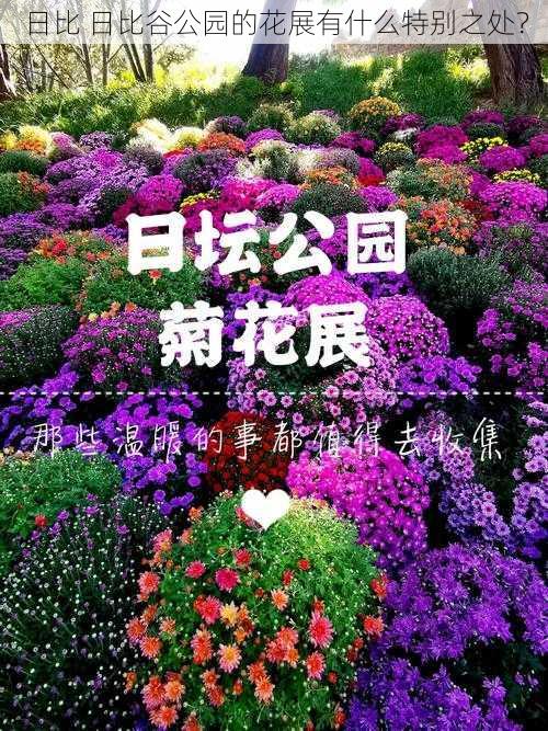 日比 日比谷公园的花展有什么特别之处？