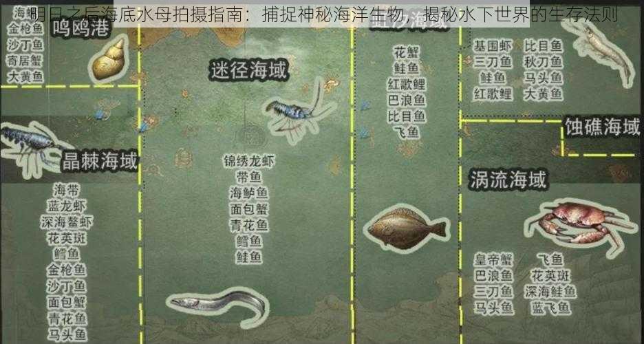 明日之后海底水母拍摄指南：捕捉神秘海洋生物，揭秘水下世界的生存法则