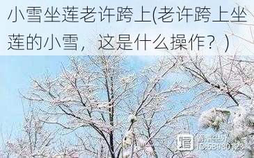 小雪坐莲老许跨上(老许跨上坐莲的小雪，这是什么操作？)