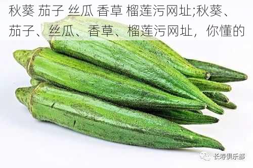 秋葵 茄子 丝瓜 香草 榴莲污网址;秋葵、茄子、丝瓜、香草、榴莲污网址，你懂的