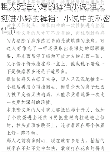 粗大挺进小婷的裤裆小说,粗大挺进小婷的裤裆：小说中的私密情节