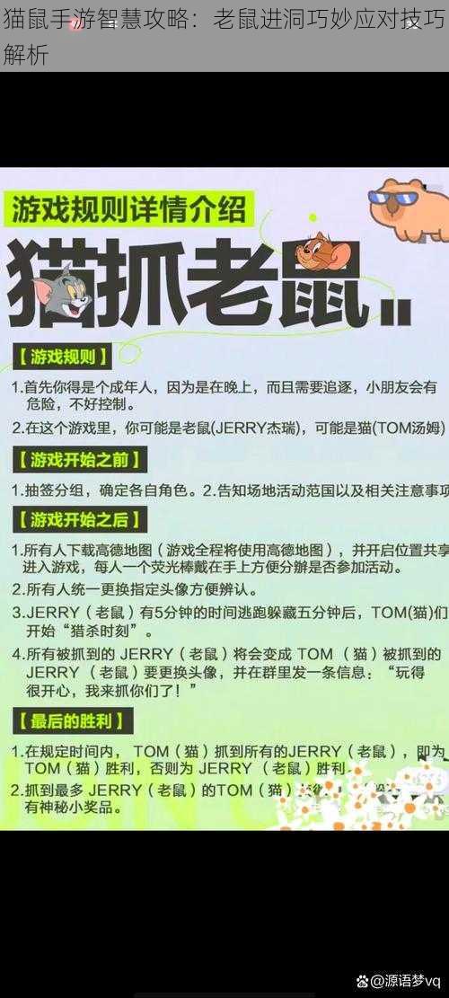 猫鼠手游智慧攻略：老鼠进洞巧妙应对技巧解析