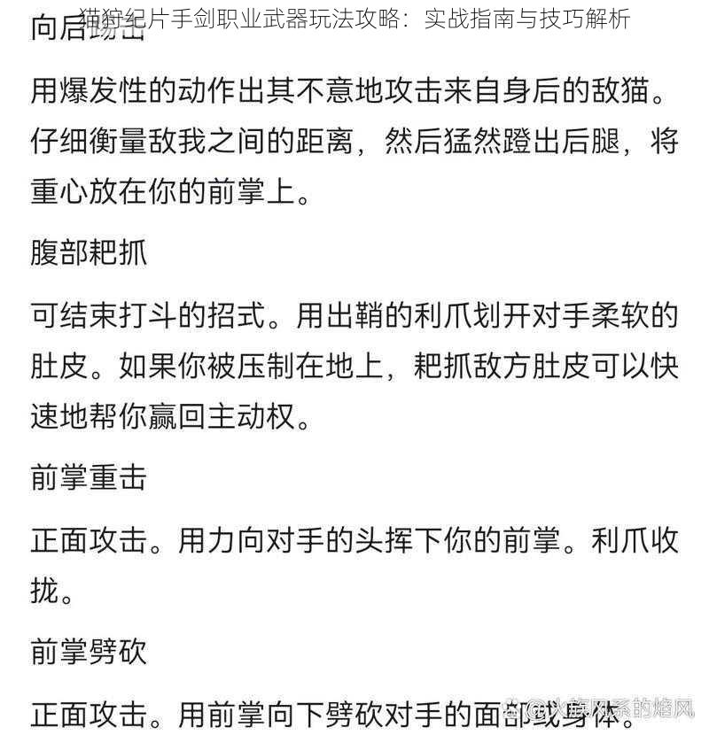 猫狩纪片手剑职业武器玩法攻略：实战指南与技巧解析