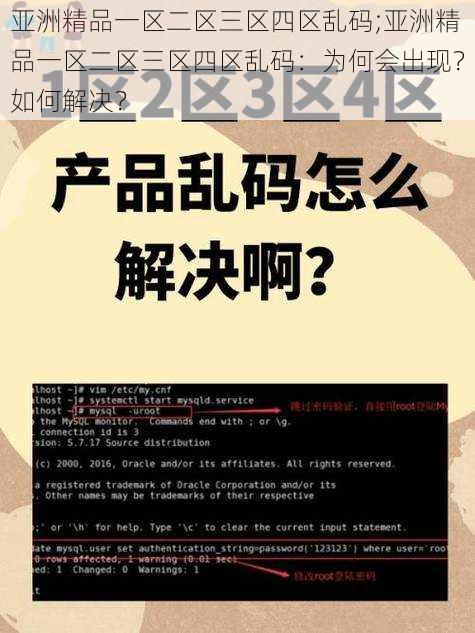 亚洲精品一区二区三区四区乱码;亚洲精品一区二区三区四区乱码：为何会出现？如何解决？