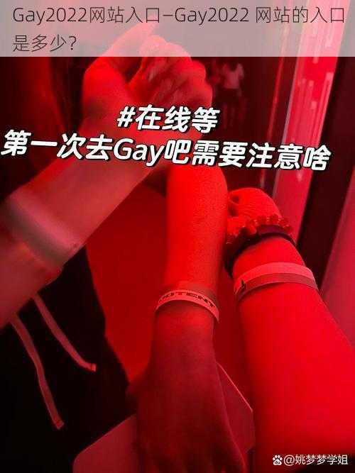 Gay2022网站入口—Gay2022 网站的入口是多少？