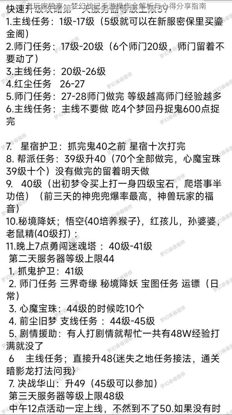 老玩家独享：梦幻战记手游操作全解析与心得分享指南