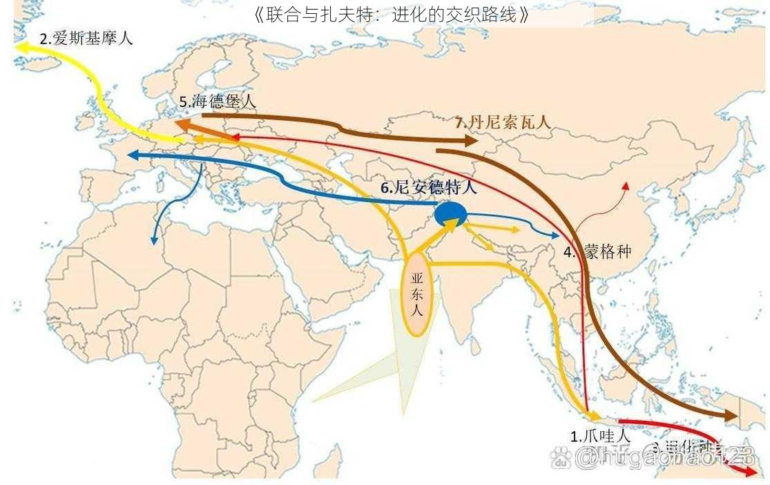 《联合与扎夫特：进化的交织路线》