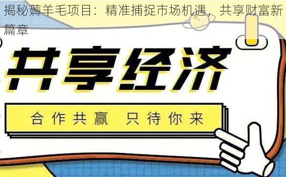 揭秘薅羊毛项目：精准捕捉市场机遇，共享财富新篇章