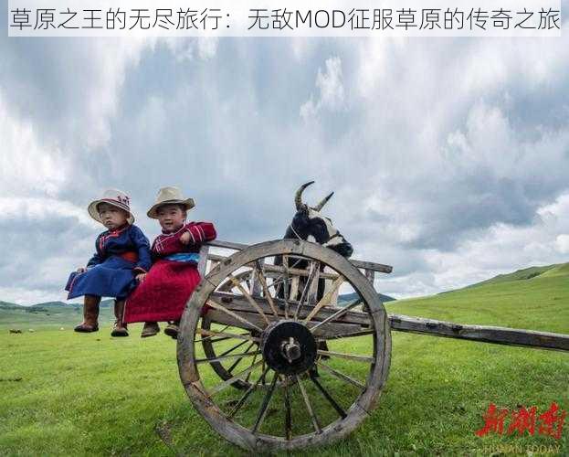 草原之王的无尽旅行：无敌MOD征服草原的传奇之旅