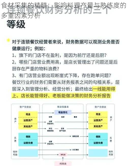 食材采集的精髓：影响料理产量与熟练度的多重因素分析