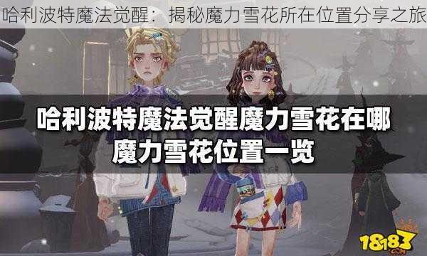 哈利波特魔法觉醒：揭秘魔力雪花所在位置分享之旅