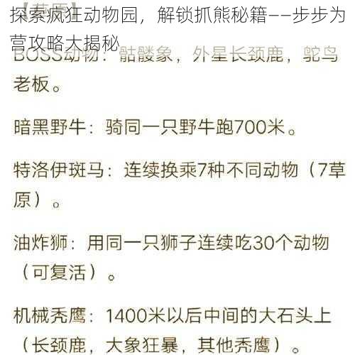 探索疯狂动物园，解锁抓熊秘籍——步步为营攻略大揭秘