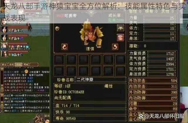 天龙八部手游神猿宝宝全方位解析：技能属性特色与实战表现