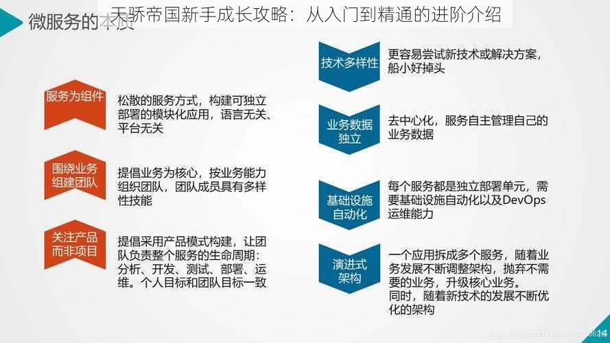 天骄帝国新手成长攻略：从入门到精通的进阶介绍