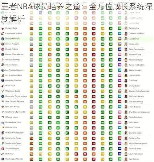 王者NBA球员培养之道：全方位成长系统深度解析