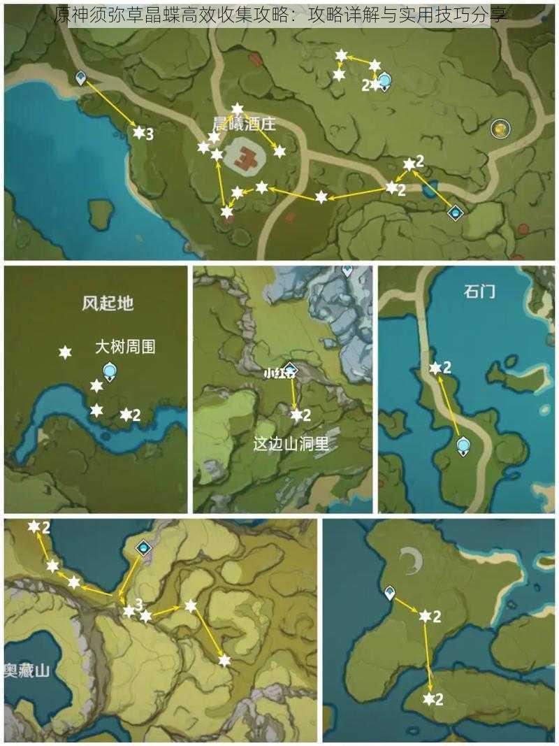 原神须弥草晶蝶高效收集攻略：攻略详解与实用技巧分享