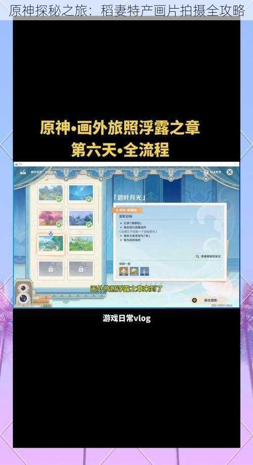 原神探秘之旅：稻妻特产画片拍摄全攻略